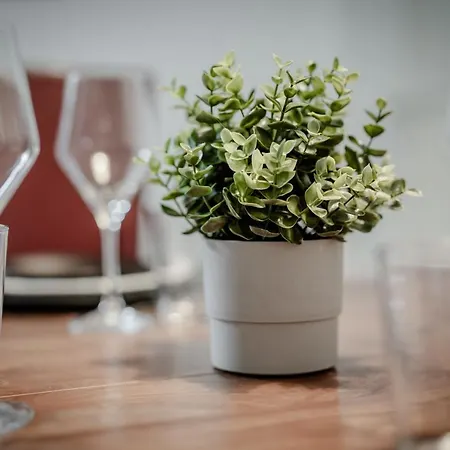 Appartement Spacieux Avec Cour Parfait Pour Famille Et Amis